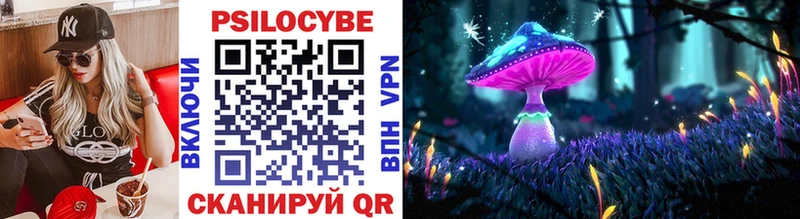 закладка  Навашино  Псилоцибиновые грибы Cubensis 